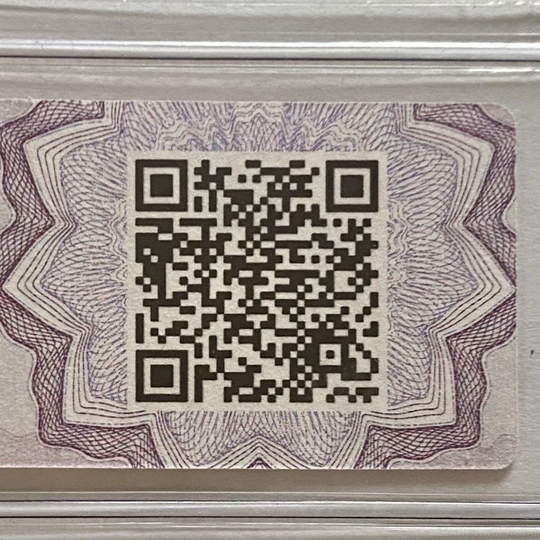 25 карбованцев 1919 год.Денежный знак Украинской республики.Бона.CGC Unc 60.