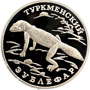 1 рубль 1996 год СПМД.Туркменский зублефар.Серебро.