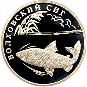 1 рубль 2005 год СПМД.Волховский сиг.Серебро.