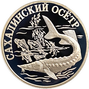 1 рубль 2001 год СПМД.Сахалинский осетр.Серебро.  
