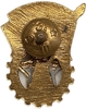 Знак ГТО 2 степени.Гайка ШЭЗ.СССР.Бронза,эмаль,винт.