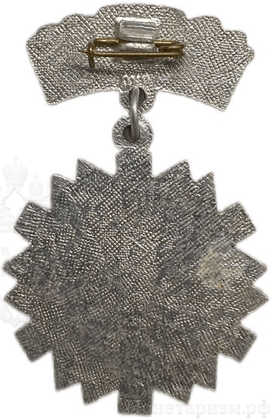 Знак подвесной.Зимнее плавание.СК Шексна.Череповец.СССР.