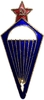 Нагрудный знак.ЦС ОСОАВИАХИМ СССР.Парашютист.Тип 1 с 1931-1936гг.Бронза,эмаль,винт.