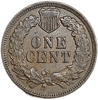 1 цент 1901 год.Индеец.США.Бронза.
