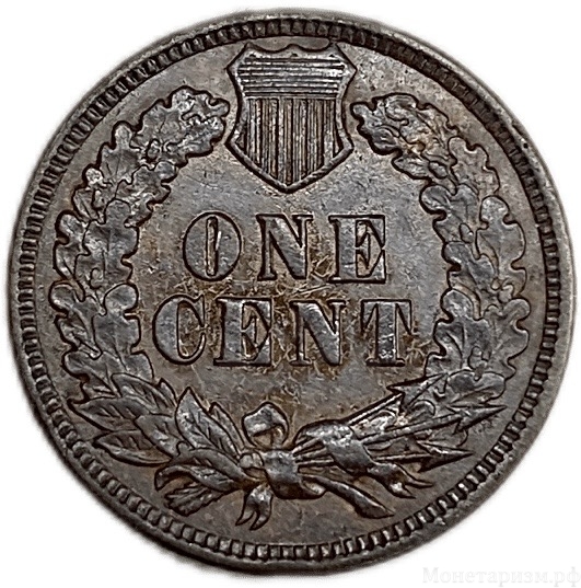 1 цент 1900 год.Индеец.США.Бронза. 