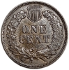 1 цент 1899 год.Индеец.США.Бронза. 