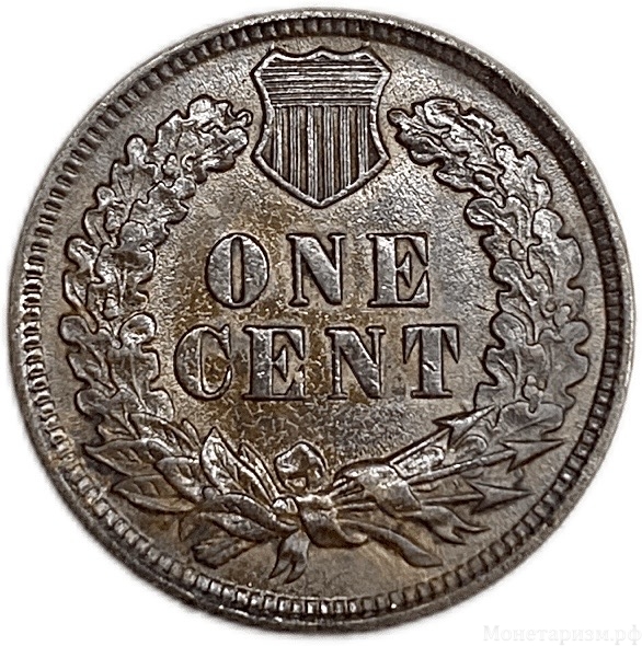 1 цент 1899 год.Индеец.США.Бронза. 