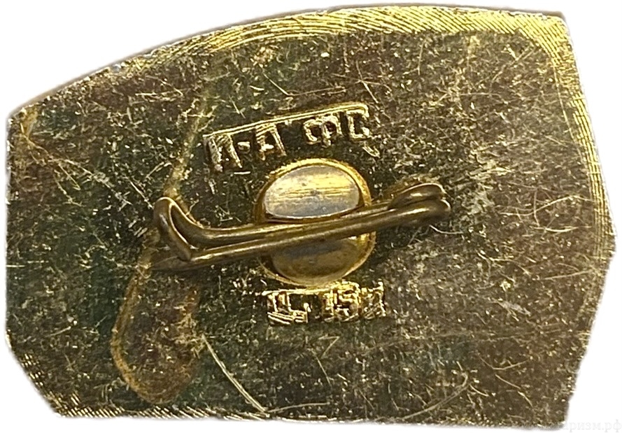 Значок.1920 год - освобождение Красной Армией г.Чита.СССР.