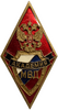 Знак ромб выаускной.Академия МВД.Латунь,винт,эмаль.