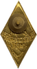 Знак ромб выаускной.Академия МВД.Латунь,винт,эмаль.