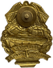 Знак нагрудный.Подводник Северного Флота.Латунь,винт,эмаль.