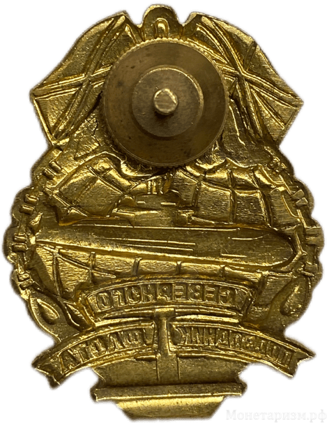 Знак нагрудный.Подводник Северного Флота.Латунь,винт,эмаль.