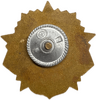 Знак нагрудный.Подводник КСФ СССР.Бронза,винт,Эмаль.