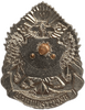 Знак нагрудный.Эсминец КСФ Бесстрашный.Винтовой.