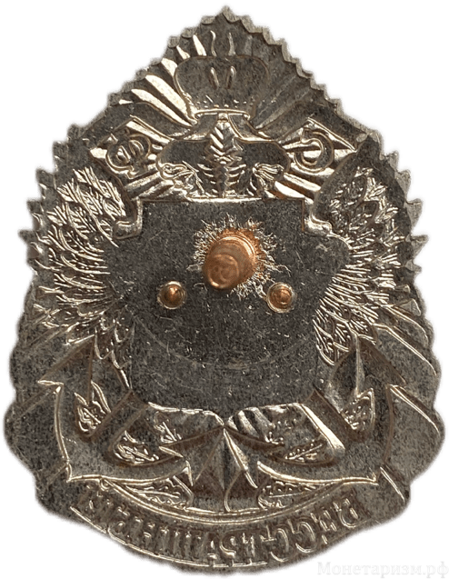 Знак нагрудный.Эсминец КСФ Бесстрашный.Винтовой.