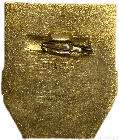 Знак.Дружинник.СССР.