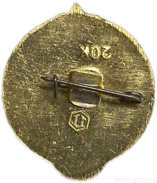 Знак Юный турист СССР.