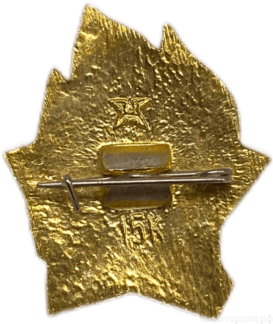 Знак Всегда Готов.В.И.Ленин.Костёр.СССР.