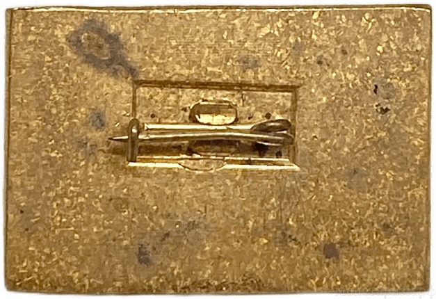 Знак памятный.Атомный ледокол Россия.Флот.СССР.Бронза,эмаль.
