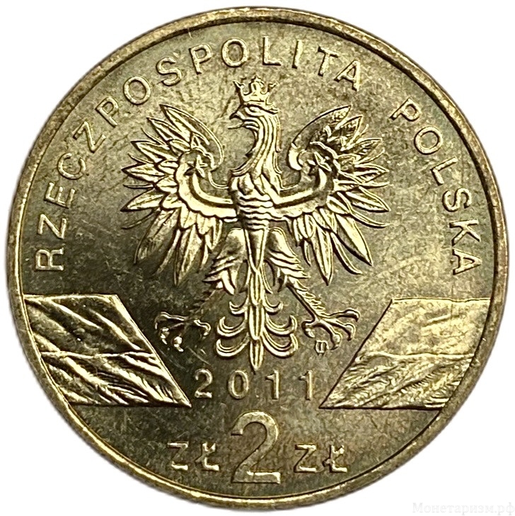 2 злотых 2011 год.Европейский барсук.Природа.Польша.