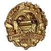 Знак Юный натуралист.СССР.Латунь.