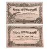 100 рублей 1918 год.Разменный билет Могилёвской губернии.Бона.UNC.