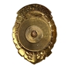 Знак члена ДОСААФ СССР.Латунь,эмаль,винт.