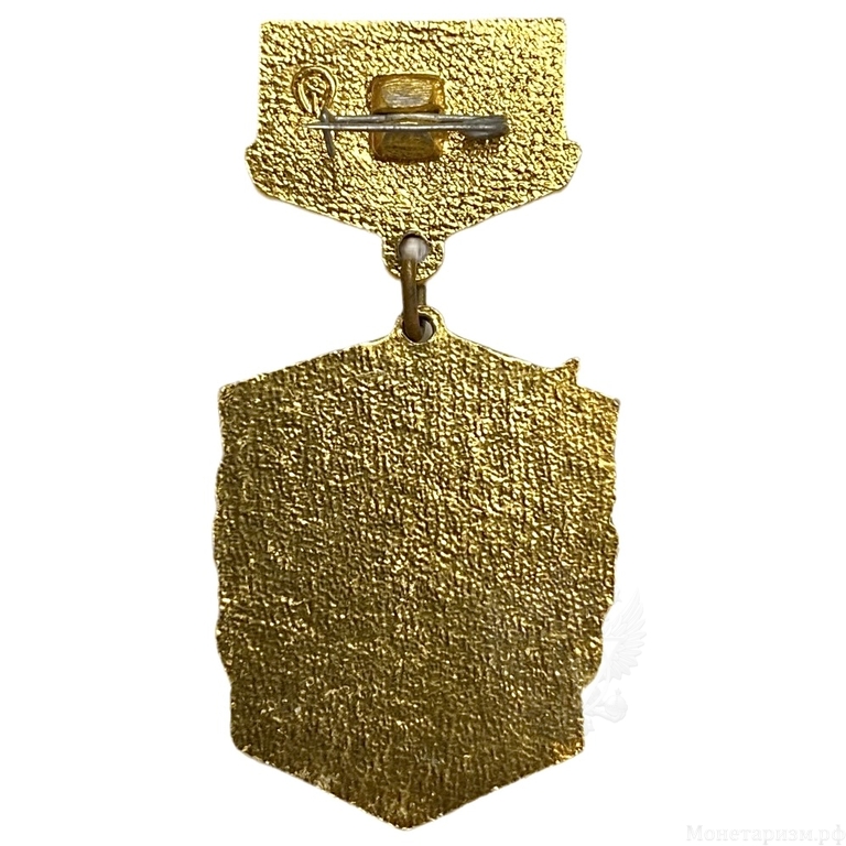 Знак отличия подвесной.За активную работу в Профгруппе.СССР.